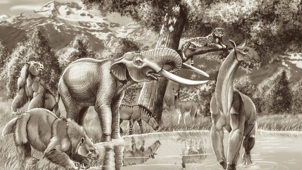 Three new papers describe Notiomastodon, an elephant relativ