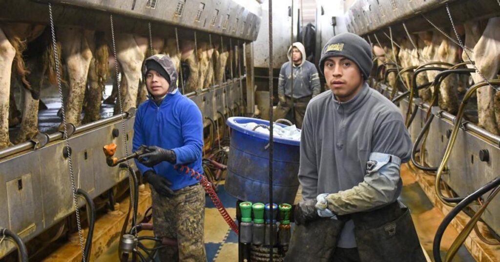 Farmhands often work 60 hours without getting OT pay. New York wants to change that. – CBS News