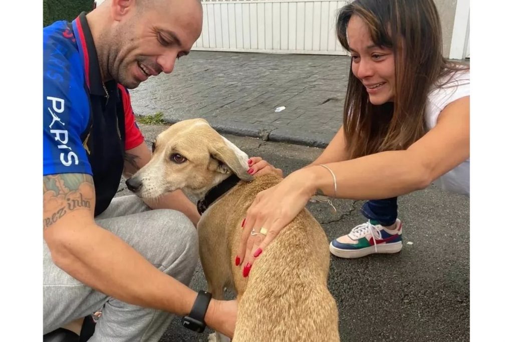 Final feliz! Família reencontra cachorra Pandora, desaparecida há 45 dias, em momento de arrepiar – Pais