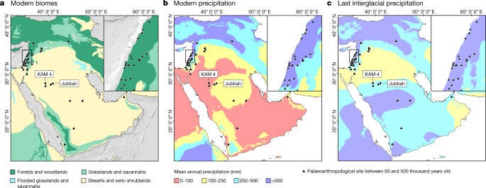 Multiple hominin dispersals into Southwest Asia over the past 400,000 years – Nature
