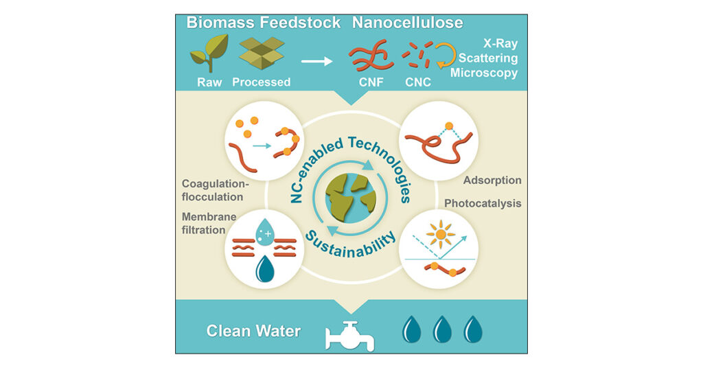 [ASAP] Nanocellulose for Sustainable Water Purification
