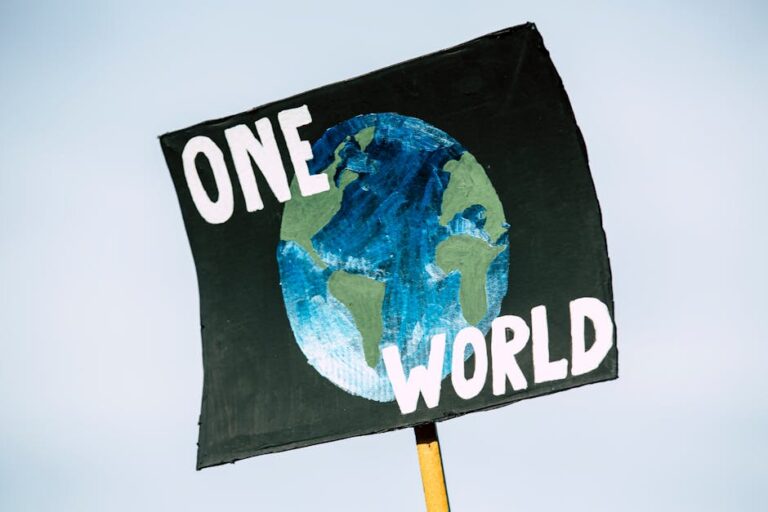 QS World University Rankings 2024: Top Global Universities | Top Universities