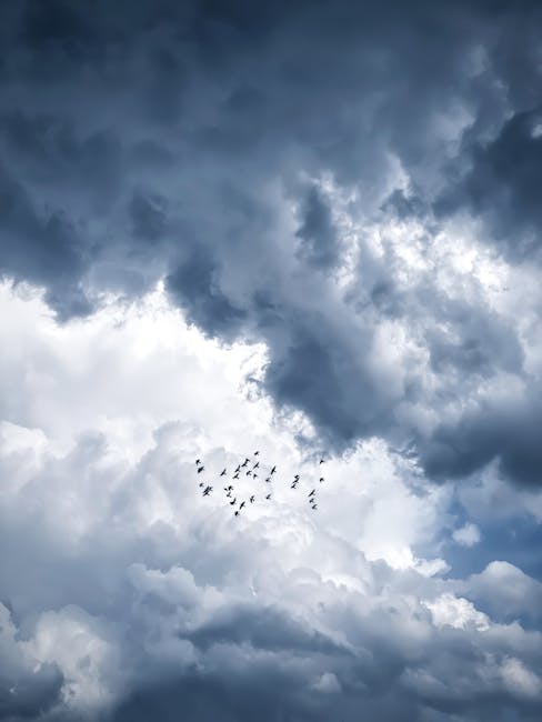 Beth Ford: A Storm Is Gathering in American Agriculture