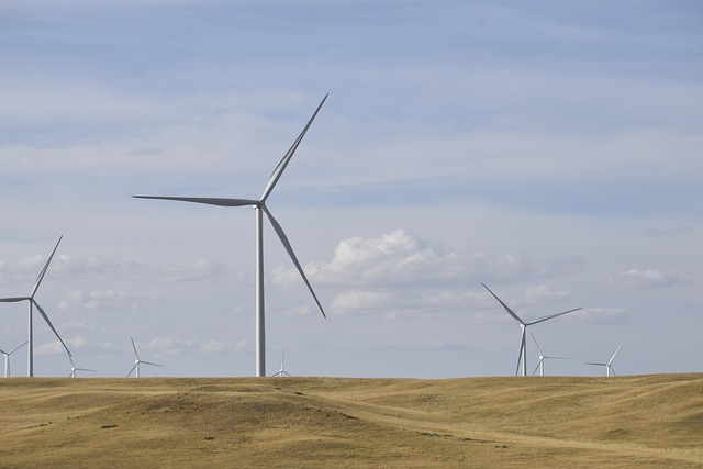Renewable energy transition in Australia: Donald Trump leads charge against wind power