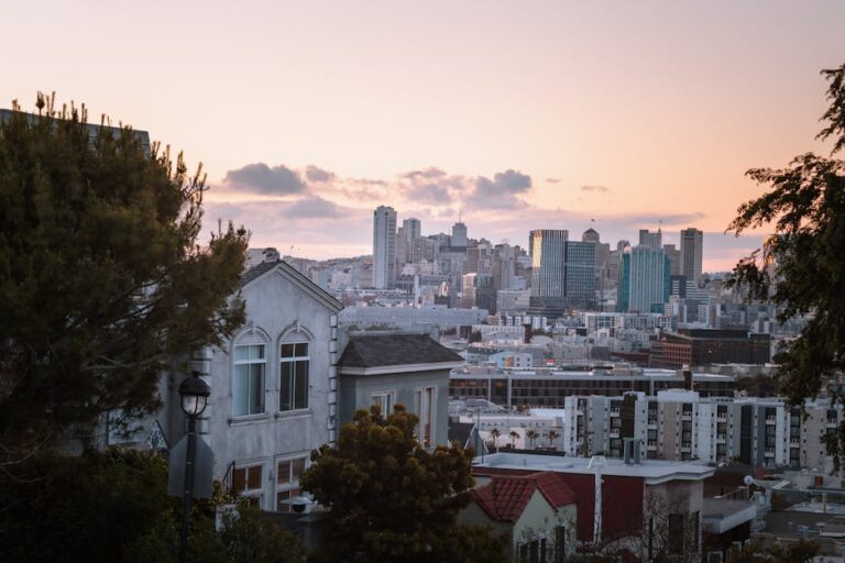 San Francisco mayor rejects Trump’s National Guard deployment plan | Fox News