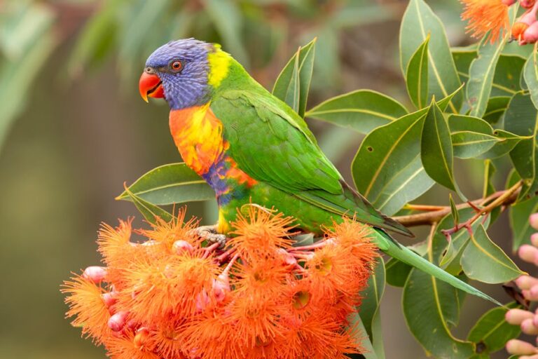 Australia kicks teens off social apps. The global policy test begins