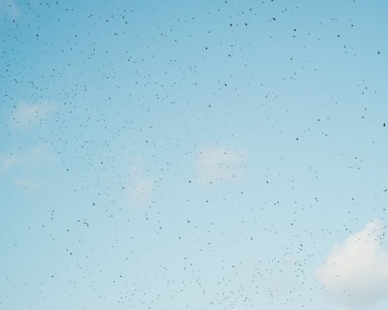 NYS snowbirds lose bid to migrate to Florida and dodge state tax bill | New York Post