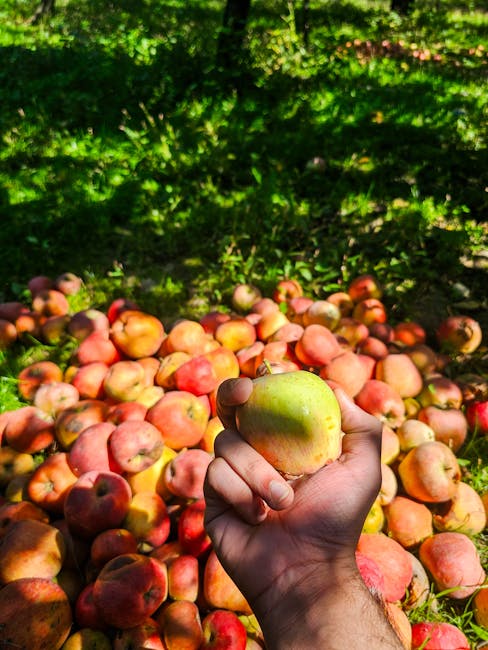 Apple picks Google’s Gemini to run AI-powered Siri coming this year