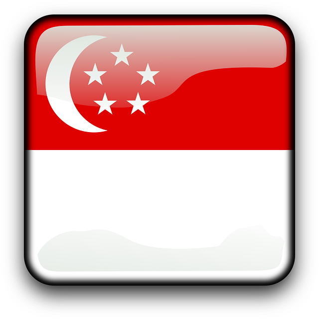 Singapore to set up new national space agency on Apr 1 – CNA