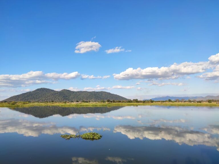 Zimbabwe at 46: Reflections on the struggle to deepen electoral democracy – Bulawayo24 News