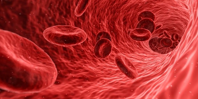 Stem Cells News — ScienceDaily